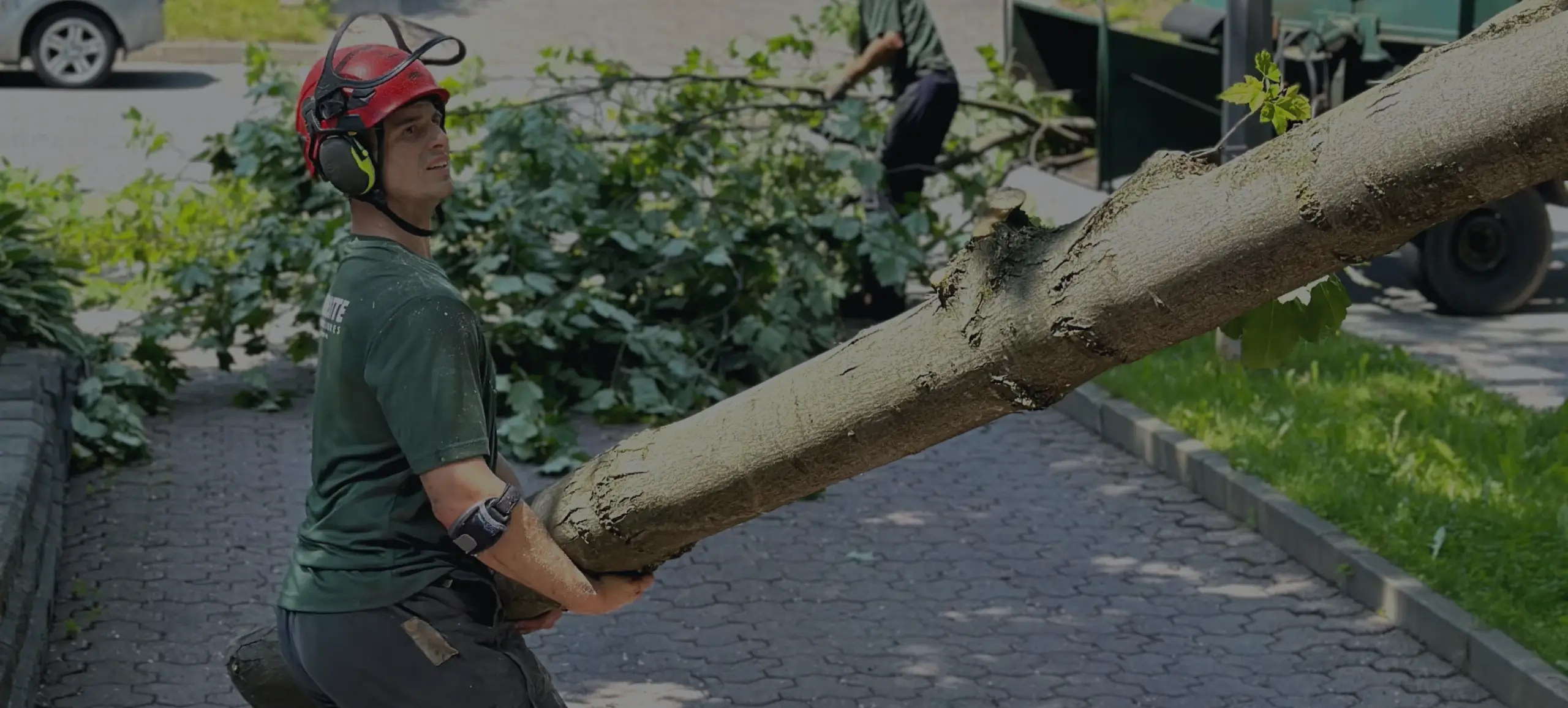 Joey Pouliot, propriétaire de Turcotte Service d’Arbres, qui récupère un tronc d’arbre.