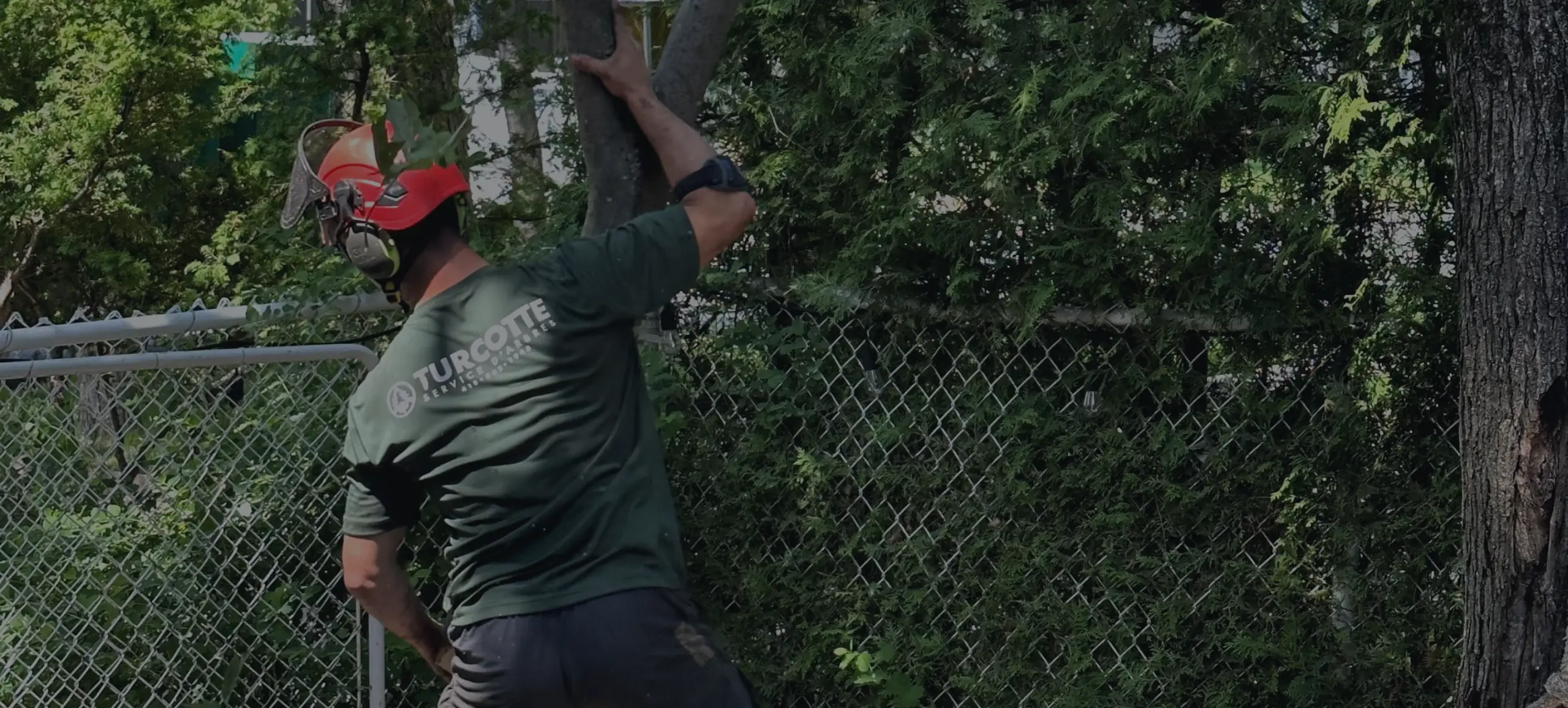 Joey Pouliot, propriétaire de Turcotte Service d’Arbres, qui transporte un arbre.