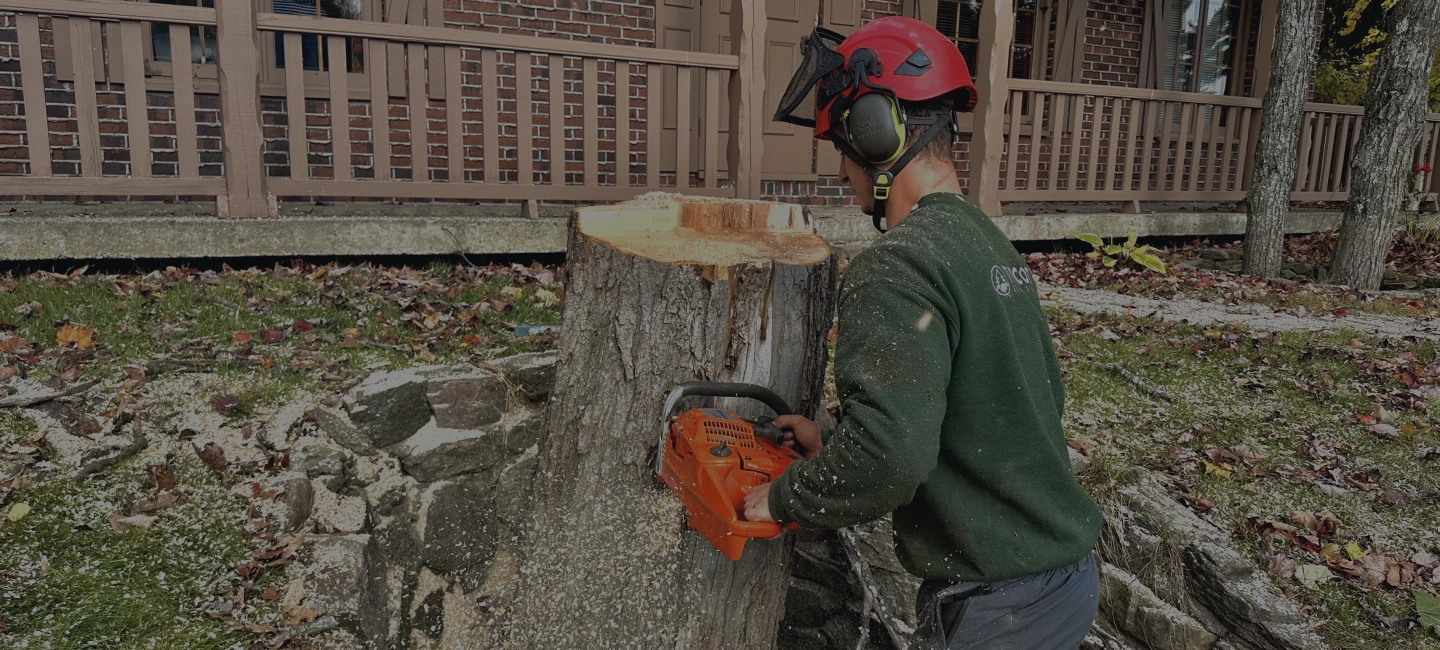 Joey Pouliot, propriétaire de Turcotte Service d’Arbres, qui coupe une souche d’arbre.